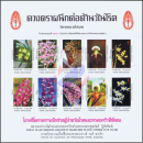 Anti-Tuberculosis Foundation 2521 (1978) -Orchids of Thailand- (SHEET) (MNH)