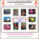 Anti-Tuberculosis Foundation 2527 (1984) -Flower of Thailand II (SHEET) (MNH)
