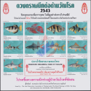 Anti-Tuberkulose Stiftung 2543 (2000) -Swasserfische Thailand- **