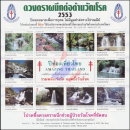 Anti-Tuberculosis Foundation, 2553 (2010) -AMAZING THAILAND 2010- (MNH)