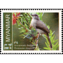 Endemische Vogelarten: Blanfordblbl