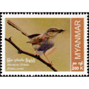 Endemic Birds: Burmese Prinia (MNH)