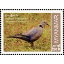 Endemic Birds: Burmese Collared-Dove (MNH)