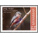 Endemic Birds: White-Browed Nuthatch (MNH)