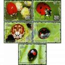 Insects: Ladybugs (II)