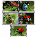 Insects: Ladybugs (MNH)