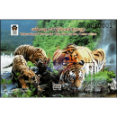 Internationales Forum zur Erhaltung der Tigerpopulation...