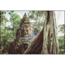 Kingdom of Wonder - Mystical Angkor (344)