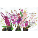 Orchideen: Dendrobium-Zchtungen (265)