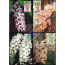Orchids (IV) -MAXIMUM CARDS-
