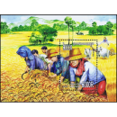 Rice Cultivation (322A) (MNH)
