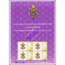 PERSONALIZED SHEET: Scout Thailand -PS(045)- (MNH)