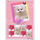 PERSONALIZED SHEET: -Thai Cat Show 2014 -PS(17)- (MNH)