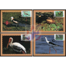 Waterfowls -MAXIMUM CARDS-