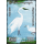 Souvenir Sheet Issue: Waterbirds (303)