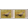 Endemische Vogelarten: Burmataube