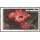 BEIJING 2006: Carnivorous Plants & Rafflesia (202I)