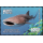 Meeresfische (367)