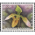 Orchideen (VII)