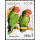 Parrots of the genus Inseparable