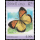 Schmetterlinge (III)