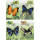 Butterflies (IV) (150)