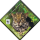 Weltweiter Naturschutz (VII): Kleinkatzen