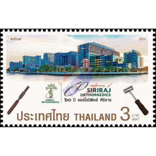 60th Anniversary of Siriraj Orthopaedics (MNH)