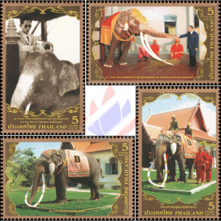 80. Geb. Knig Bhumibol (III): Der erste weie Elefant des Knigs (**)