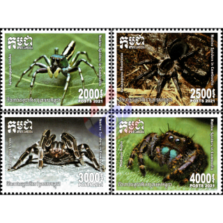 Native Spiders