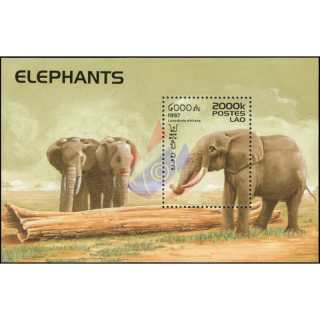 Elephants (IV) (162)