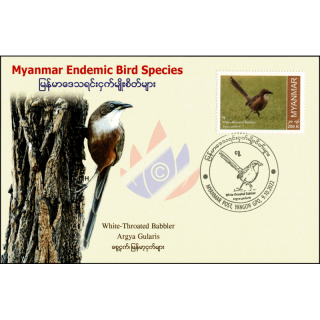 Endemic Birds: White-throated Babbler -MAXIMUM CARD MC(II)-