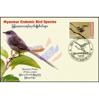 Endemische Vogelarten: Burmaprinie -MAXIMUM KARTE MC(II)-