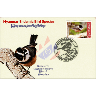 Endemische Vogelarten: Burmesische Buschmeise -MAXIMUM KARTE MC(I)-