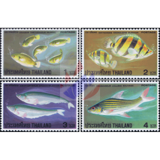 Thai Fishes (III)