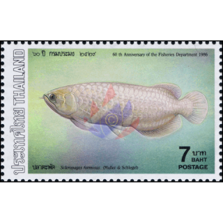Fishes (IV) -MAXIMUM CARDS