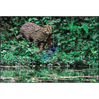 Fishing Cat -SPECIAL SOUVENIR SHEET- (343B) (MNH)