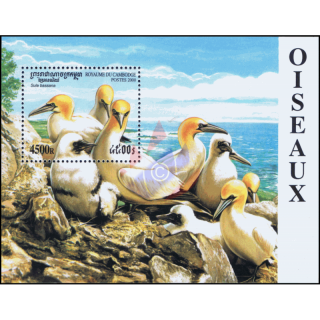 Sea Birds (270A)