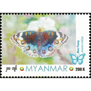 Butterflies: Blue Pansy (Junonia orithya) (MNH)