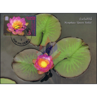 THAILAND 2016, Bangkok: Lotus flower Queen Sirikit -MAXIMUM CARD