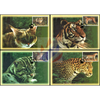 Wild Animals (VI) -MAXIMUMCARDS MC(83)-